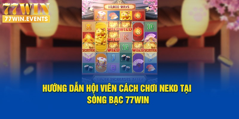 Hướng dẫn hội viên cách chơi Neko tại sòng bạc 77Win 