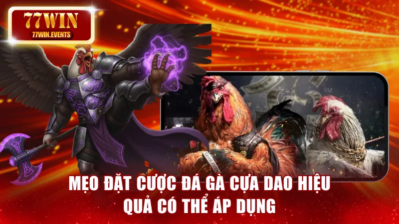 Mẹo đặt cược hiệu quả hội viên có thể tham khảo 